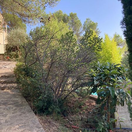 Les Taillades Le Gite Sous Les Pins מראה חיצוני תמונה